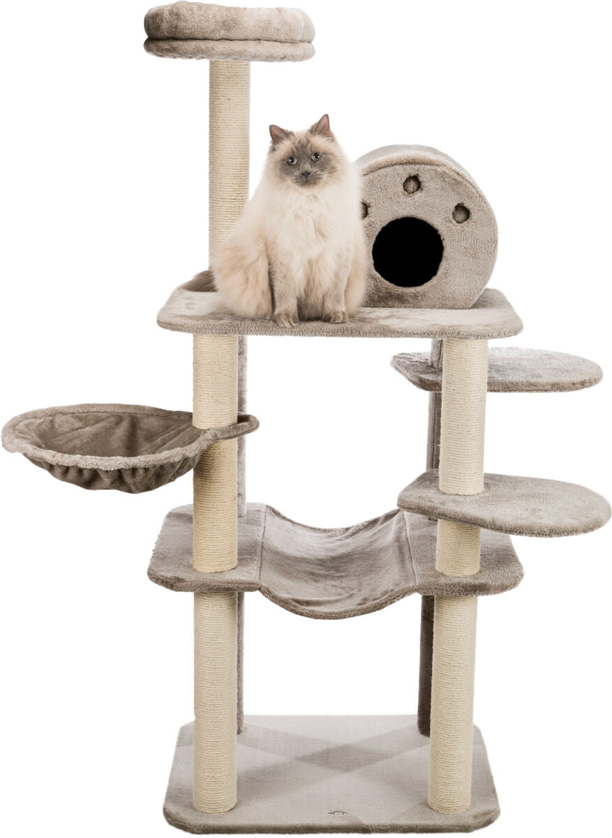 PHO_PRO_CAT_CLIP_43530-4