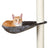 PHO_PRO_CAT_CLIP_43542-1