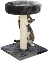 PHO_PRO_CAT_CLIP_43712-2
