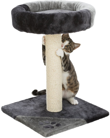 PHO_PRO_CAT_CLIP_43712-2