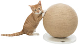 PHO_PRO_CAT_CLIP_43721-1