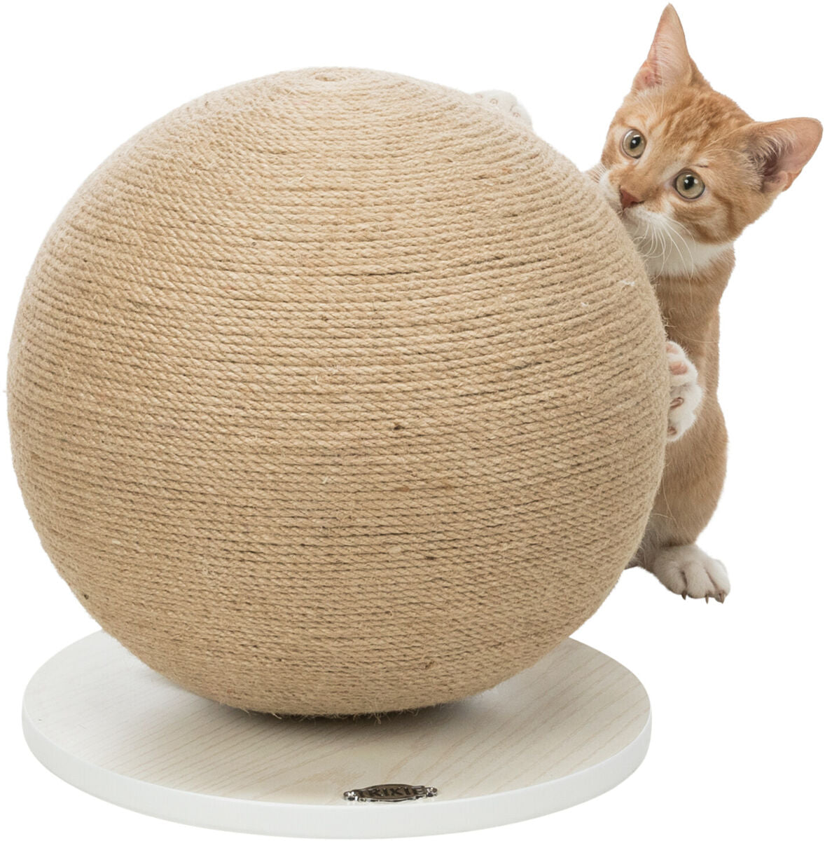 PHO_PRO_CAT_CLIP_43721-3