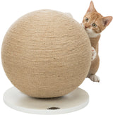 PHO_PRO_CAT_CLIP_43721-3