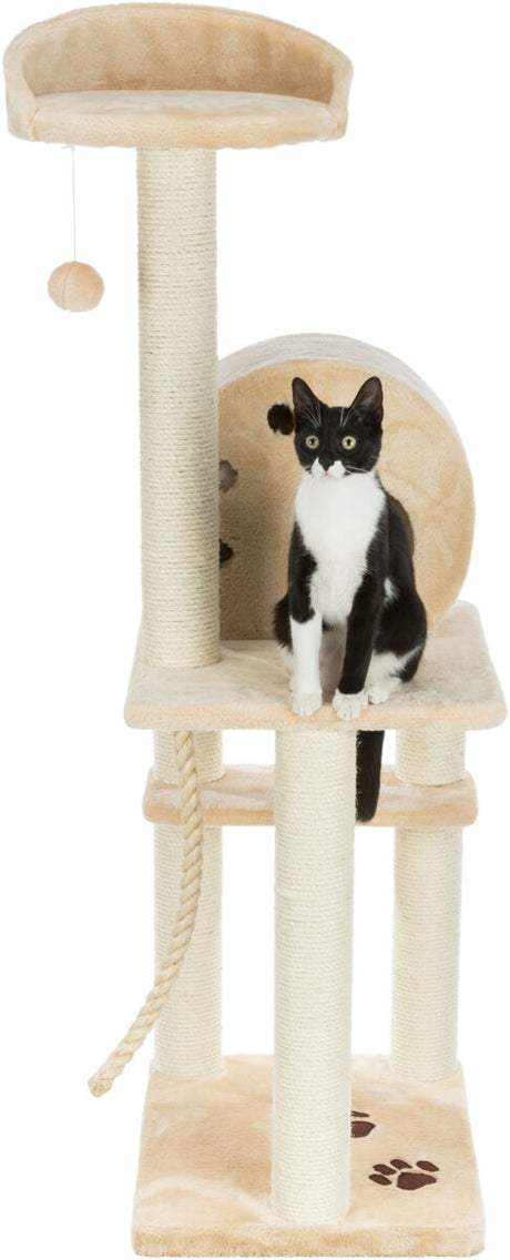 PHO_PRO_CAT_CLIP_43731-1