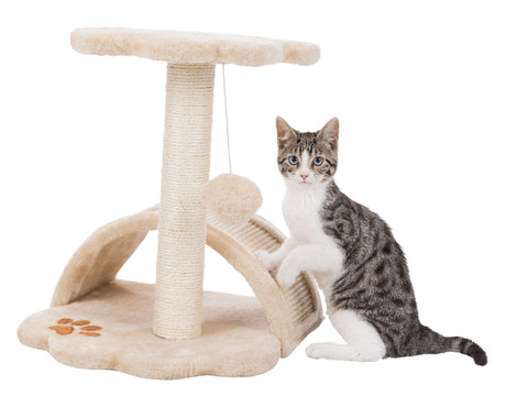 PHO_PRO_CAT_CLIP_43751-3