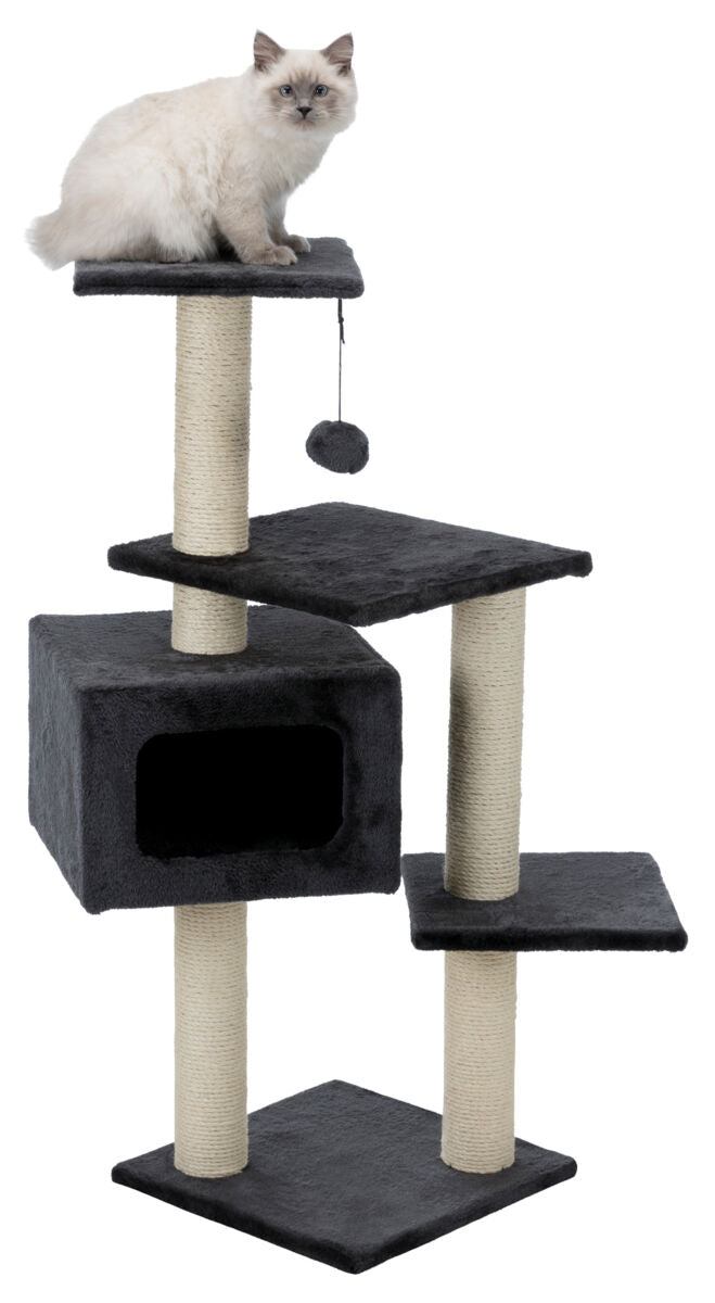 Beiger Kater sitzt auf einem schwarzen Kratzbaum mit mehreren Plattformen und einem hängenden Ball.