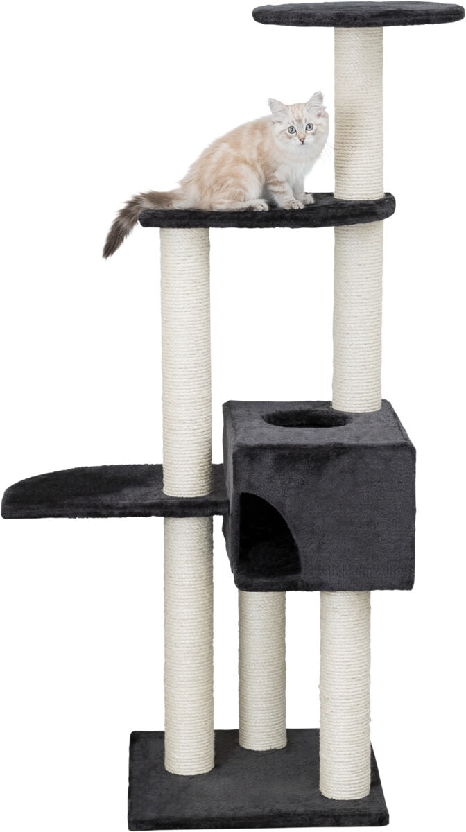 Kratzbaum mit mehreren Ebenen in Schwarz und Weiß, darauf sitzt eine helle Katze.