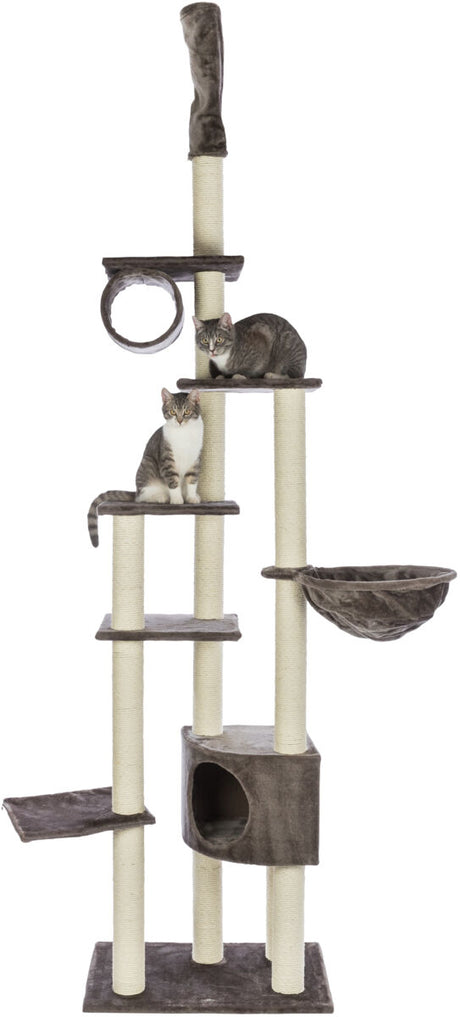 PHO_PRO_CAT_CLIP_43902-3