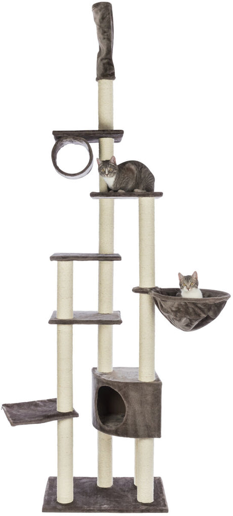 PHO_PRO_CAT_CLIP_43902-4