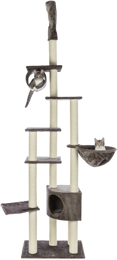 PHO_PRO_CAT_CLIP_43902-5