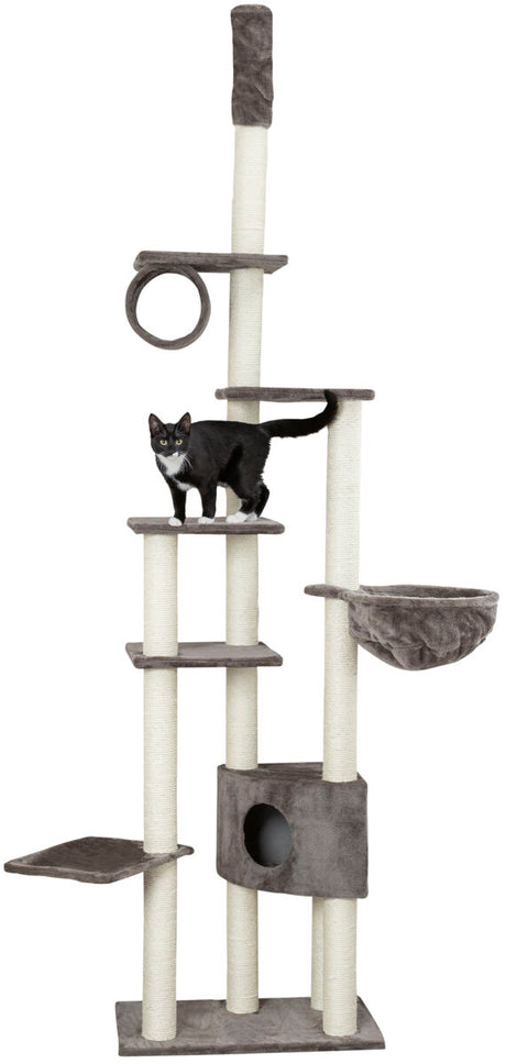 PHO_PRO_CAT_CLIP_43902-7