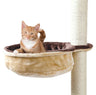 PHO_PRO_CAT_CLIP_43910-1