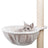 PHO_PRO_CAT_CLIP_43911-1