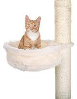 PHO_PRO_CAT_CLIP_43921-1