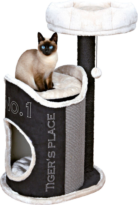PHO_PRO_CAT_CLIP_44415-1