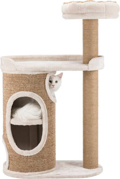 PHO_PRO_CAT_CLIP_44416-2