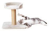 PHO_PRO_CAT_CLIP_44418-1