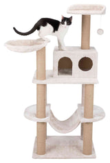PHO_PRO_CAT_CLIP_44428-1