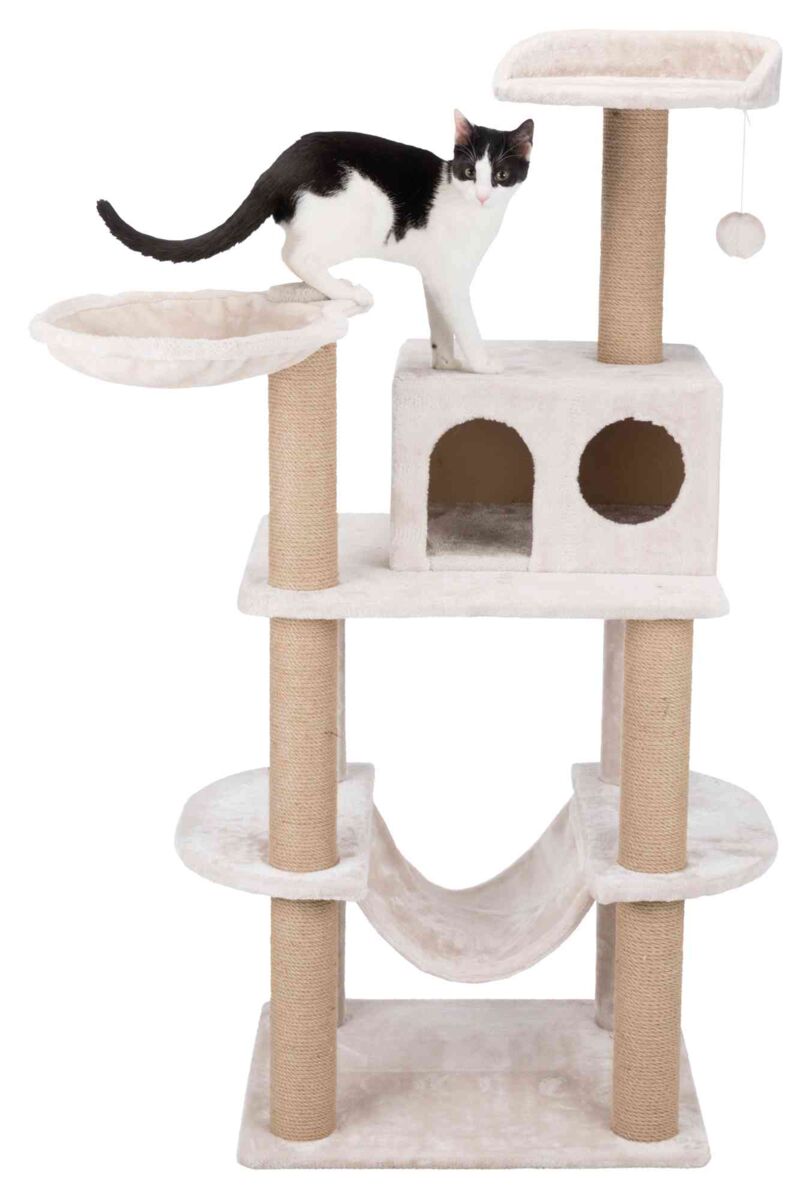 Kletterbaum aus beigem Plüsch mit Sisalstangen, Hängematte und Plattformen, schwarze-weiße Katze erkundet obere Ebene.