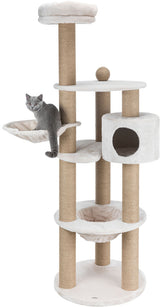 PHO_PRO_CAT_CLIP_44429-1
