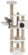 PHO_PRO_CAT_CLIP_44429-1