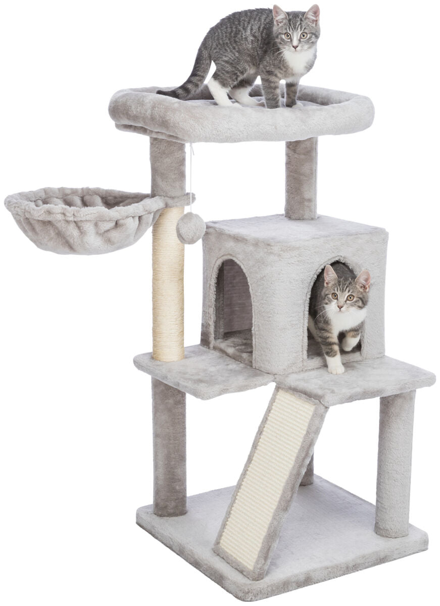 PHO_PRO_CAT_CLIP_44435-2