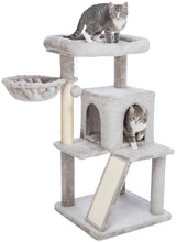 PHO_PRO_CAT_CLIP_44435-2