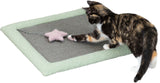 PHO_PRO_CAT_CLIP_44437-1