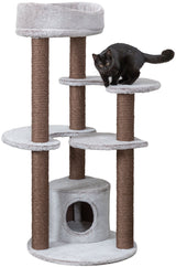 PHO_PRO_CAT_CLIP_44456-1