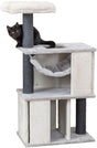 PHO_PRO_CAT_CLIP_44457-1