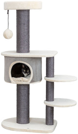 PHO_PRO_CAT_CLIP_44467-1