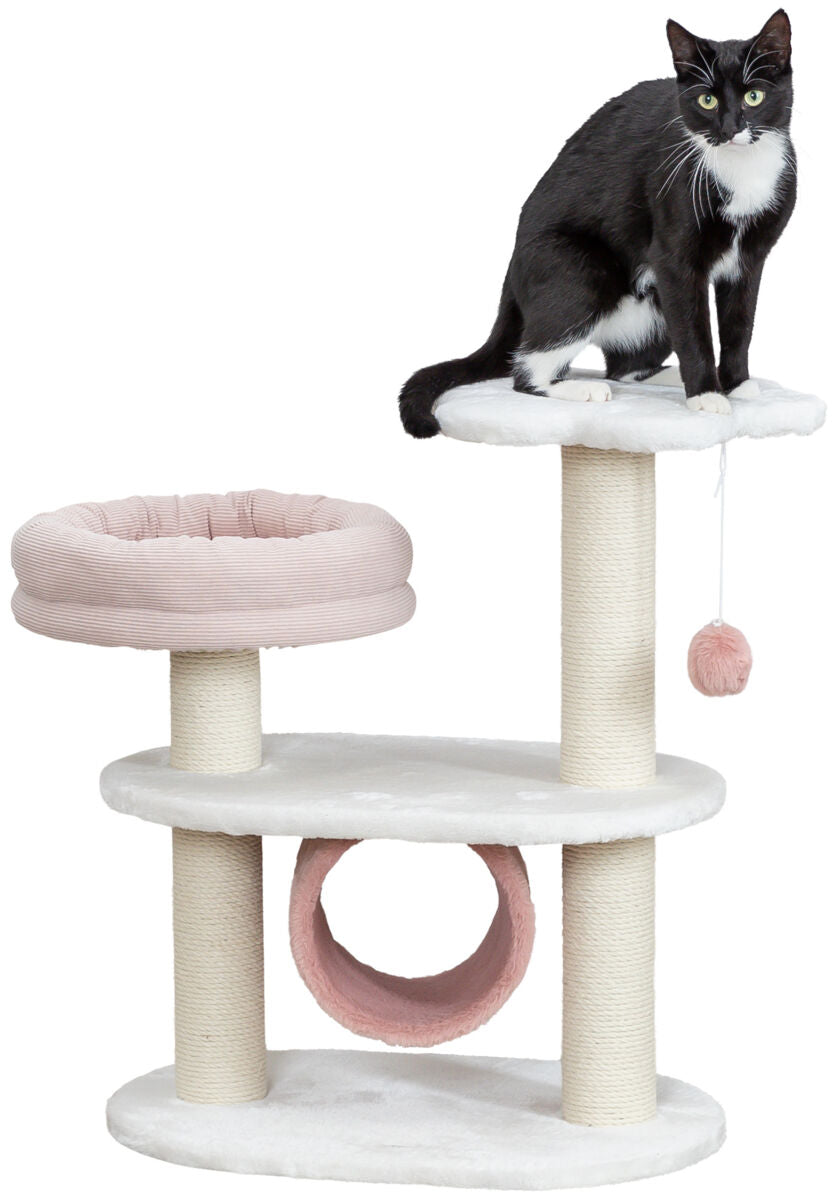 PHO_PRO_CAT_CLIP_44472-1