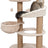 PHO_PRO_CAT_CLIP_44474-1