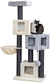 PHO_PRO_CAT_CLIP_44482-1
