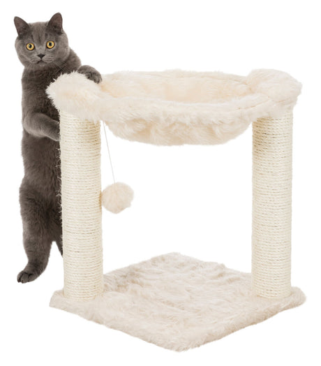 PHO_PRO_CAT_CLIP_44541-2