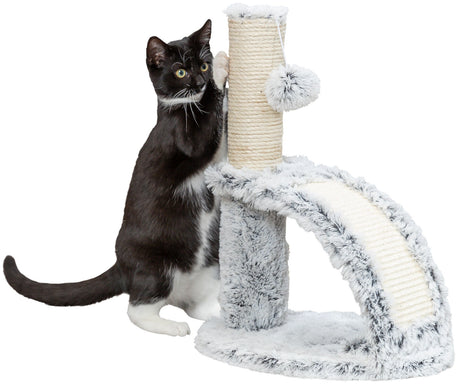 PHO_PRO_CAT_CLIP_44574-1
