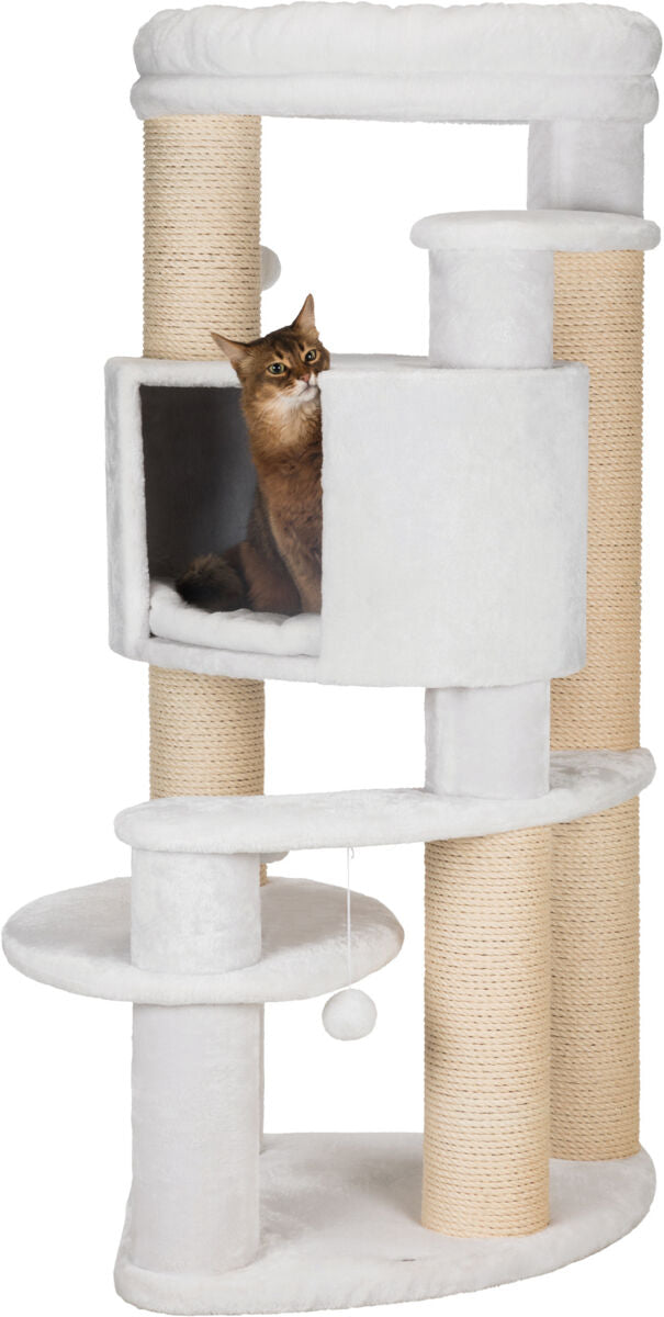 PHO_PRO_CAT_CLIP_44664-1