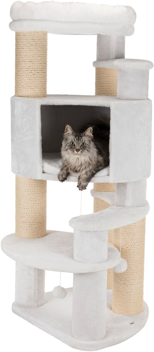 Katzenkratzbaum mit mehreren Ebenen und Höhle, ein grau-weißes Kätzchen liegt im Inneren der Höhle.