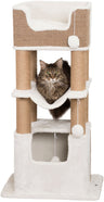 Katzenbaum mit mehreren Ebenen aus beigem Sisal und weißem Plüsch, eine Katze liegt in einer Hängematte.