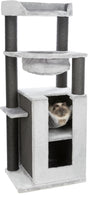 PHO_PRO_CAT_CLIP_44673-1