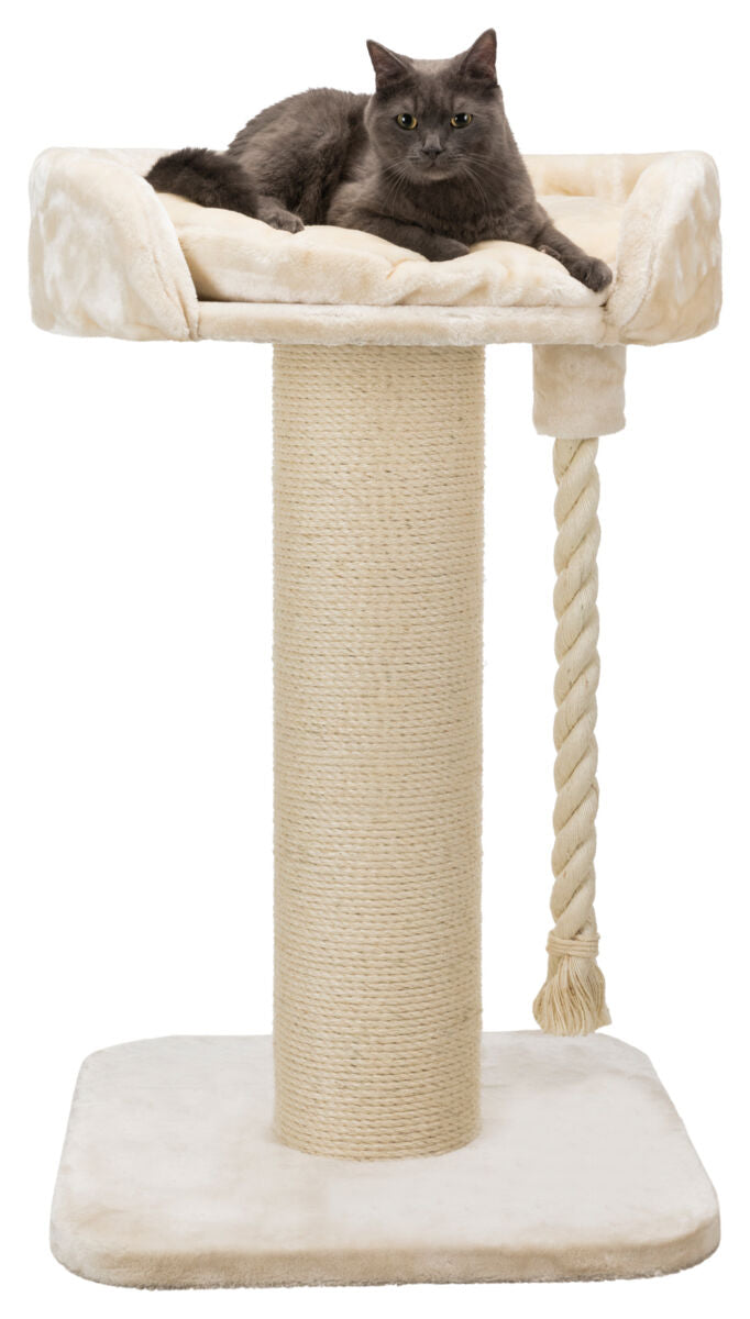 Graue Katze liegt auf einem beigen Kratzbaum mit dicker Sisalsäule und hängender Kordel auf einem quadratischen Sockel.