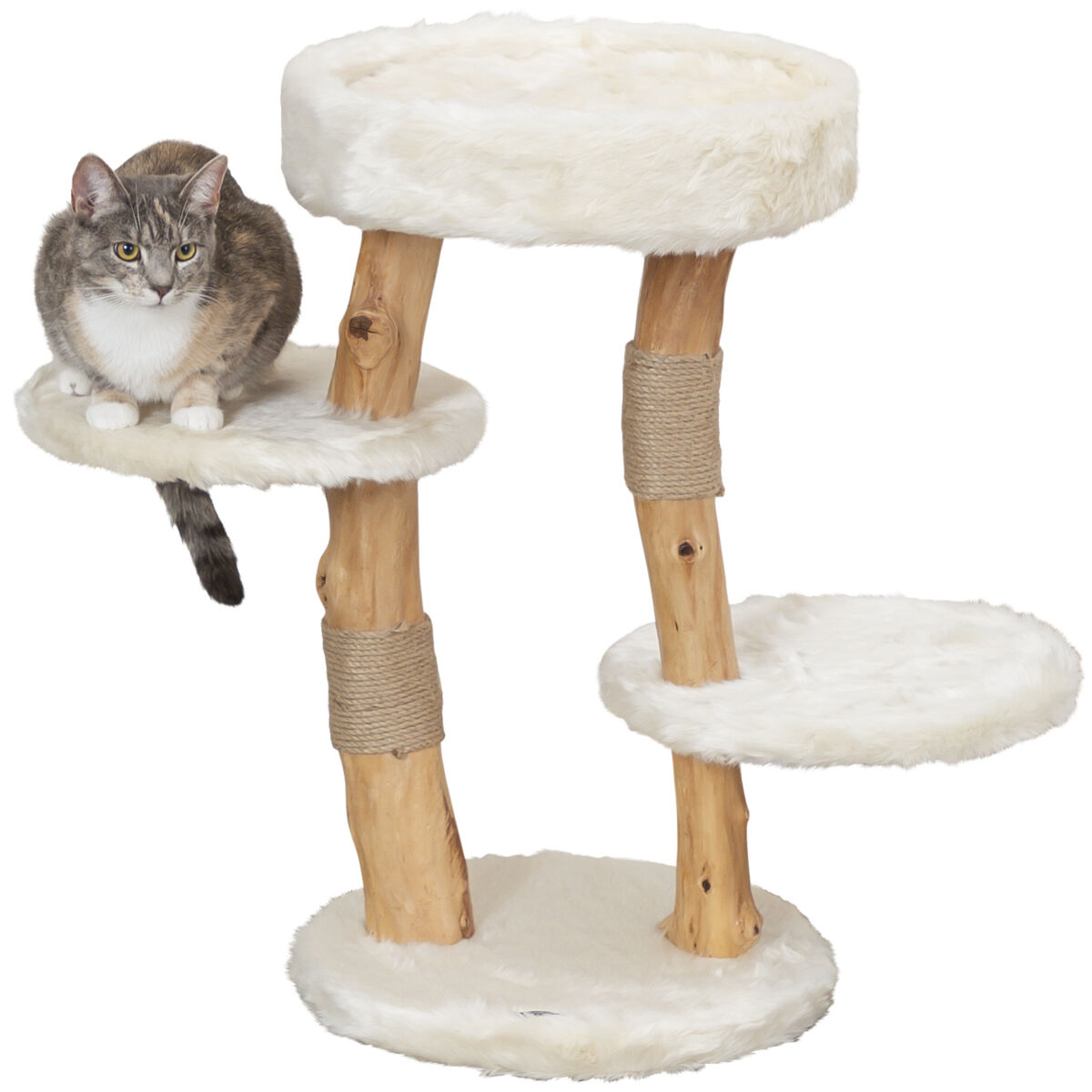 PHO_PRO_CAT_CLIP_44714-1