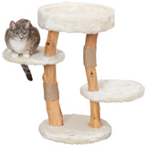 PHO_PRO_CAT_CLIP_44714-1