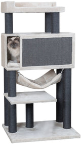 PHO_PRO_CAT_CLIP_44718-1