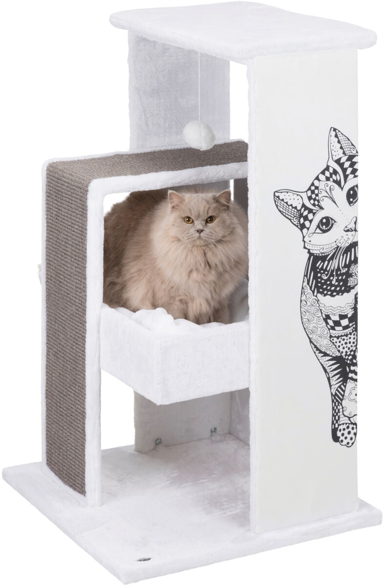 PHO_PRO_CAT_CLIP_44721-2