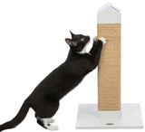 PHO_PRO_CAT_CLIP_44744-1