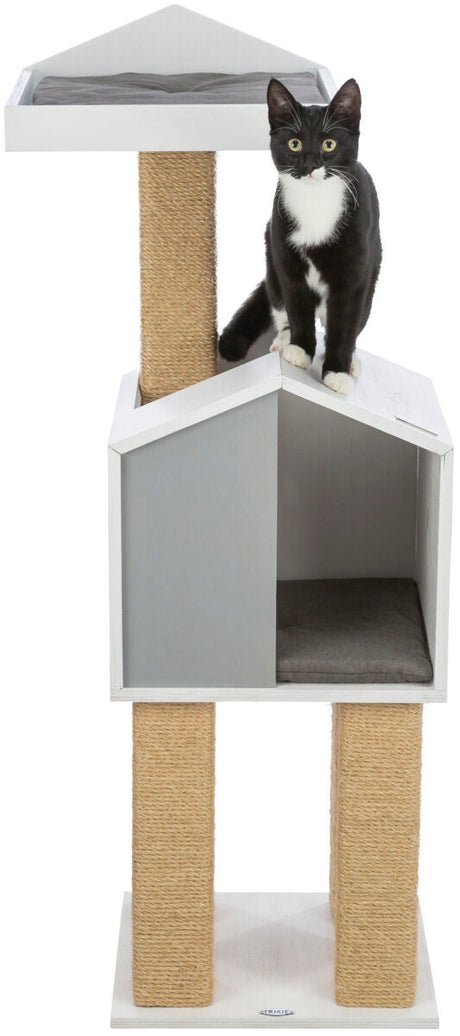 PHO_PRO_CAT_CLIP_44745-1