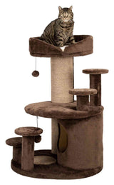 Brauner Kratzbaum mit mehreren Plattformen, Sisalstamm und Höhle, auf dem eine Katze sitzt.