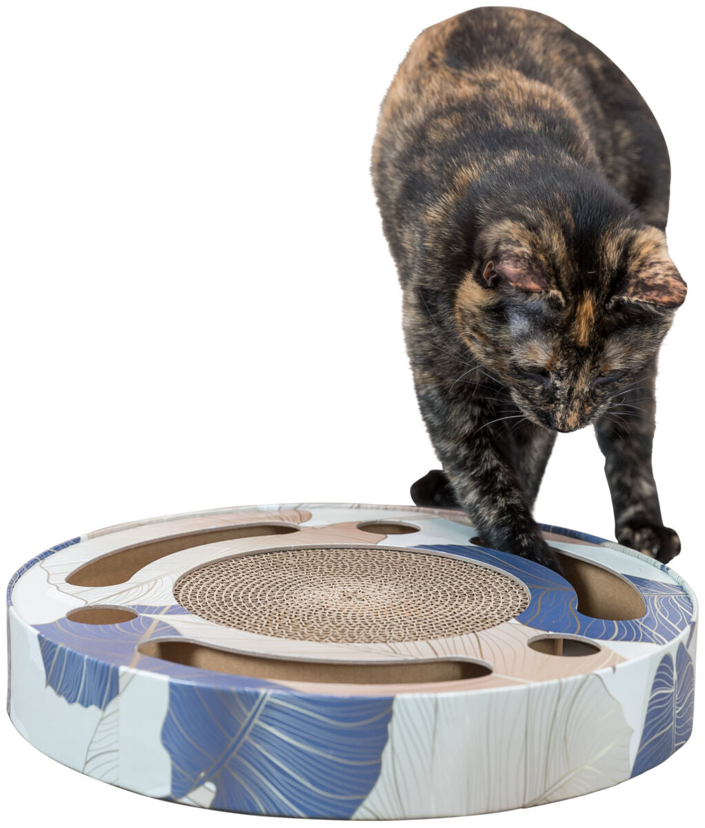 PHO_PRO_CAT_CLIP_48004-2