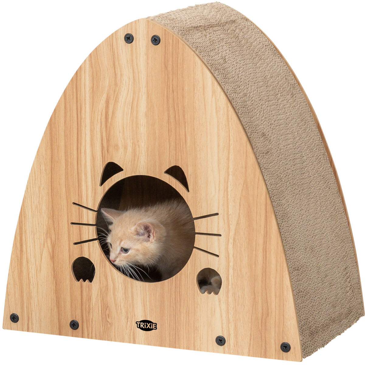PHO_PRO_CAT_CLIP_48025-1